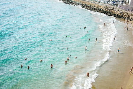 people swimming during daytime thumbnail