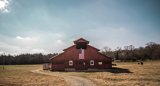 brown wooden shack on field thumbnail