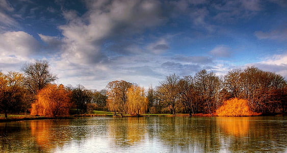 landscape of trees near body of water during daytime thumbnail