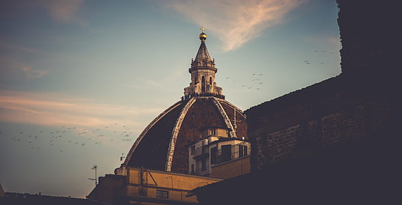 flock of birds soaring over cathedral thumbnail