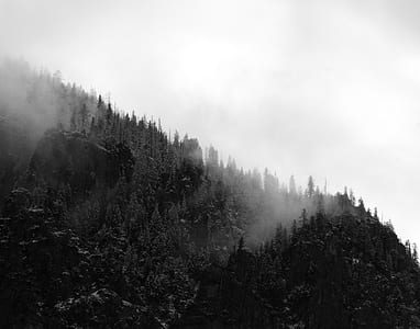 Aerial Photo of Foggy Black and White  Mountain thumbnail