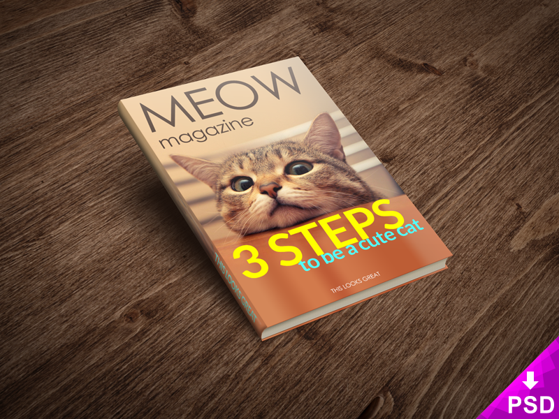 Cat Magazine Mockup psd file