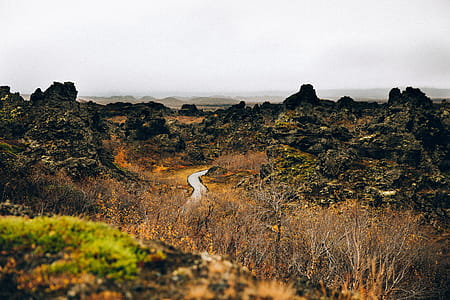A curvy road through the rocky terrain surrounded by bushes thumbnail