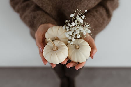 Mini white pumpkins thumbnail