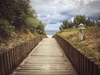 brown wooden pathway under white clouds during daytime thumbnail