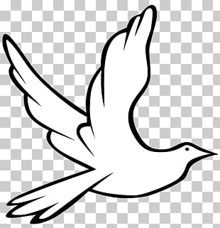 48 European Turtle Dove Png Cliparts For Free Download Uihere