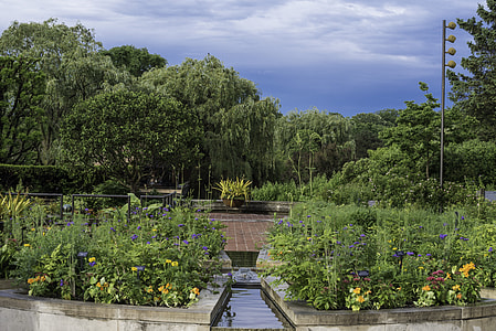 Garden plants and trees thumbnail