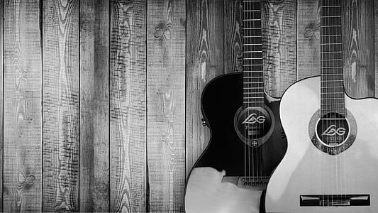 grayscale photo of two guitars thumbnail