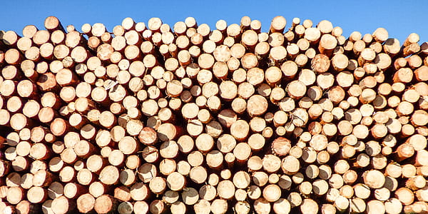 Stack of Firewood thumbnail