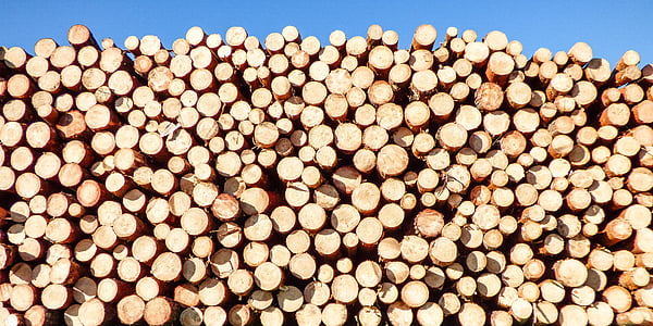 pile of brown wood logs at daytime thumbnail