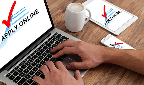 person typing on MacBook Pro thumbnail