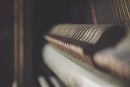 abstract, art, bird, blur, conceptual, connection thumbnail