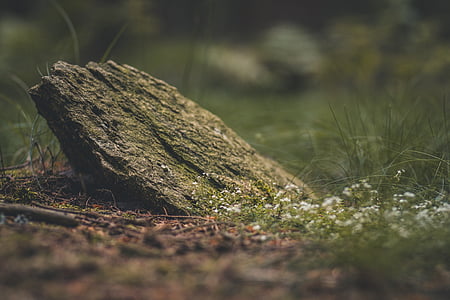 tilt shift lens photography of stone during daytime thumbnail