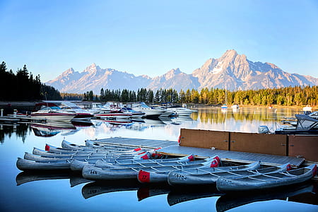 white wooden boat lot thumbnail