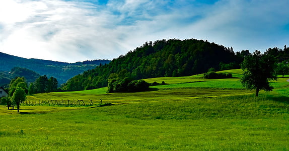 green grass field during daytime thumbnail