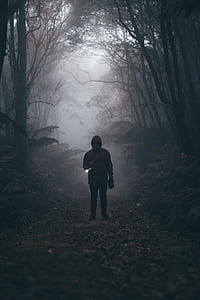 silhouette of a person in the middle of the forest thumbnail