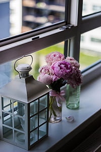 Candle Lantern Near Purple Petaled Flower on Glass Window thumbnail