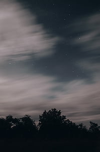 trees and cloudy sky thumbnail