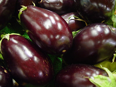 purple and green eggplants thumbnail