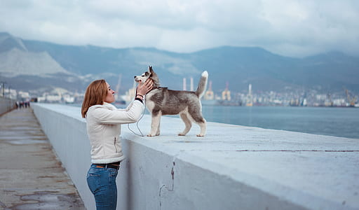 woman petting dog thumbnail