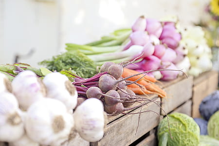 assorted vegetables thumbnail