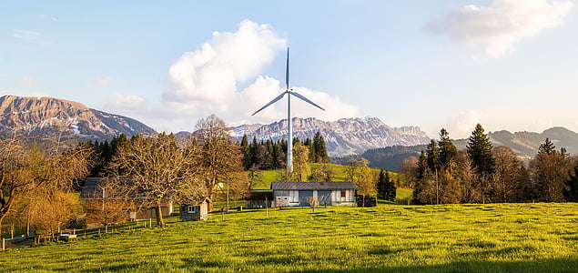 house with windmill and tall trees during daytime thumbnail