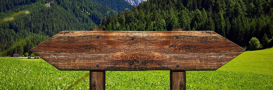 brown wooden board signage behind green trees taken daytime thumbnail