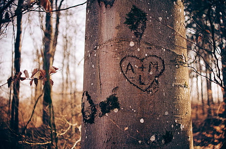 brown tree with carvings thumbnail