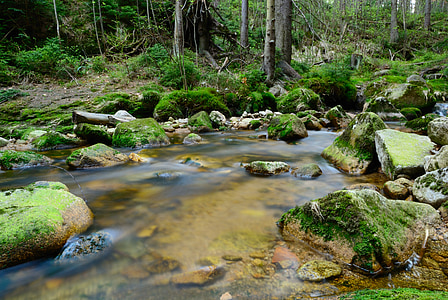lake beside a rocks thumbnail