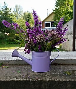 lavender flowers in watering can thumbnail