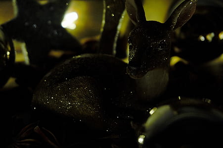 light, art, dark, green thumbnail