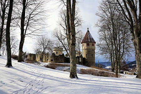 brown and gray concrete castle near trees during daytime thumbnail