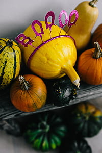 Pumpkins & Halloween thumbnail
