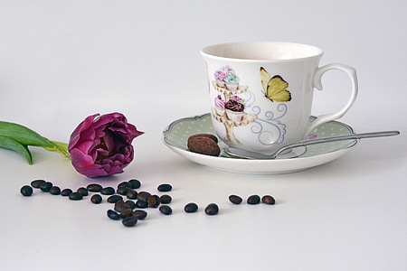 white ceramic teacup and saucer plate with spoon beside purple petaled flower and coffee beans thumbnail