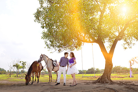 Wedding Photo, Beautiful Wedding Photo thumbnail
