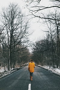 person walking in between of bare trees thumbnail