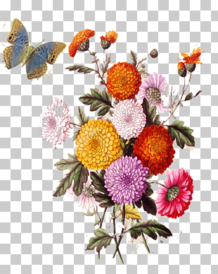Flower Collage Stock illustration Photography, European aesthetic vintage floral pattern, assorted-color flowers and butterfly PNG clipart