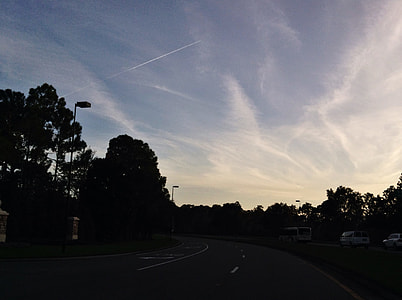 silhouette of trees during sunset thumbnail