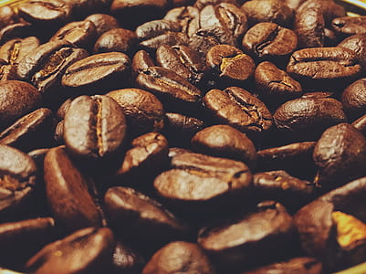 closeup photo of coffee beans thumbnail