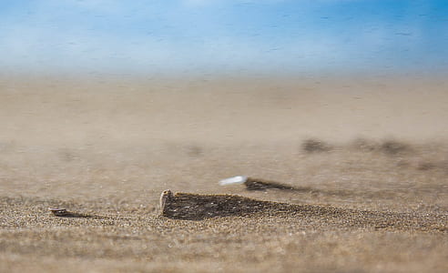 selective photography of brown sand thumbnail