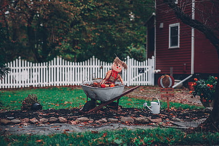 Photo of a Rag Doll on Wheelbarrow thumbnail