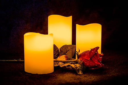 three flameless pillar candles beside flower thumbnail