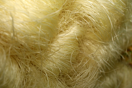 Uncooked Soya Noodles thumbnail