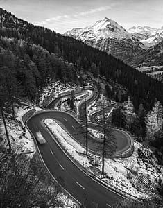 road near trees during winter thumbnail