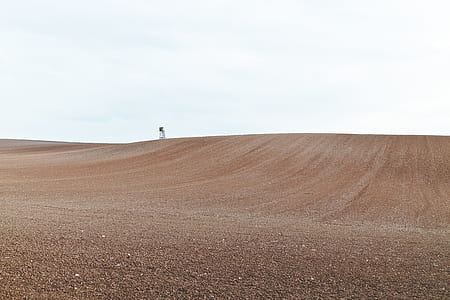 brown dessert thumbnail