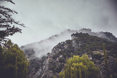 green forest mountain with fog during daytime thumbnail