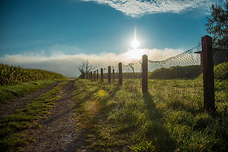 brown wooden fence surrounded by grass during daytime thumbnail