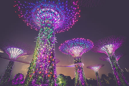 Gardens by the Bay, Singapore at night thumbnail