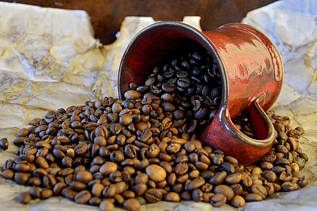 brown coffee beans with red ceramic mug thumbnail