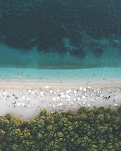 people gathered on seashore in aerial photography thumbnail